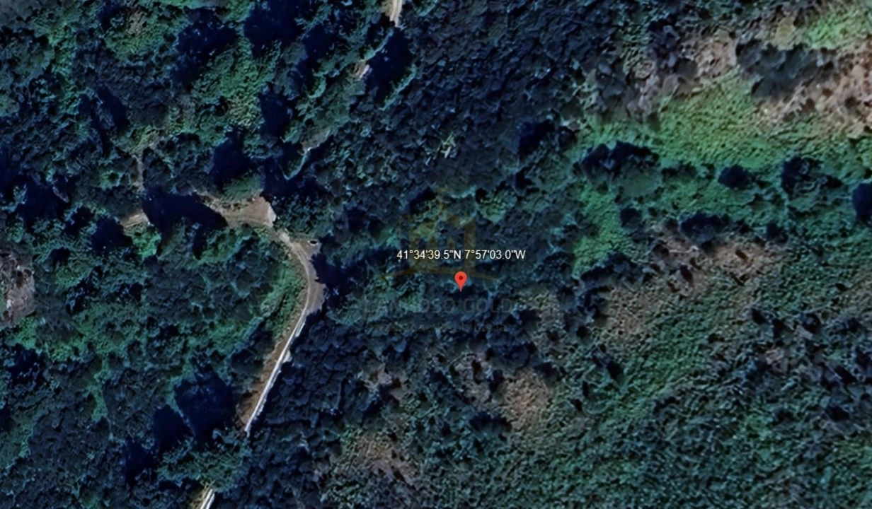Terreno para Venda em Rio Douro Foto 3