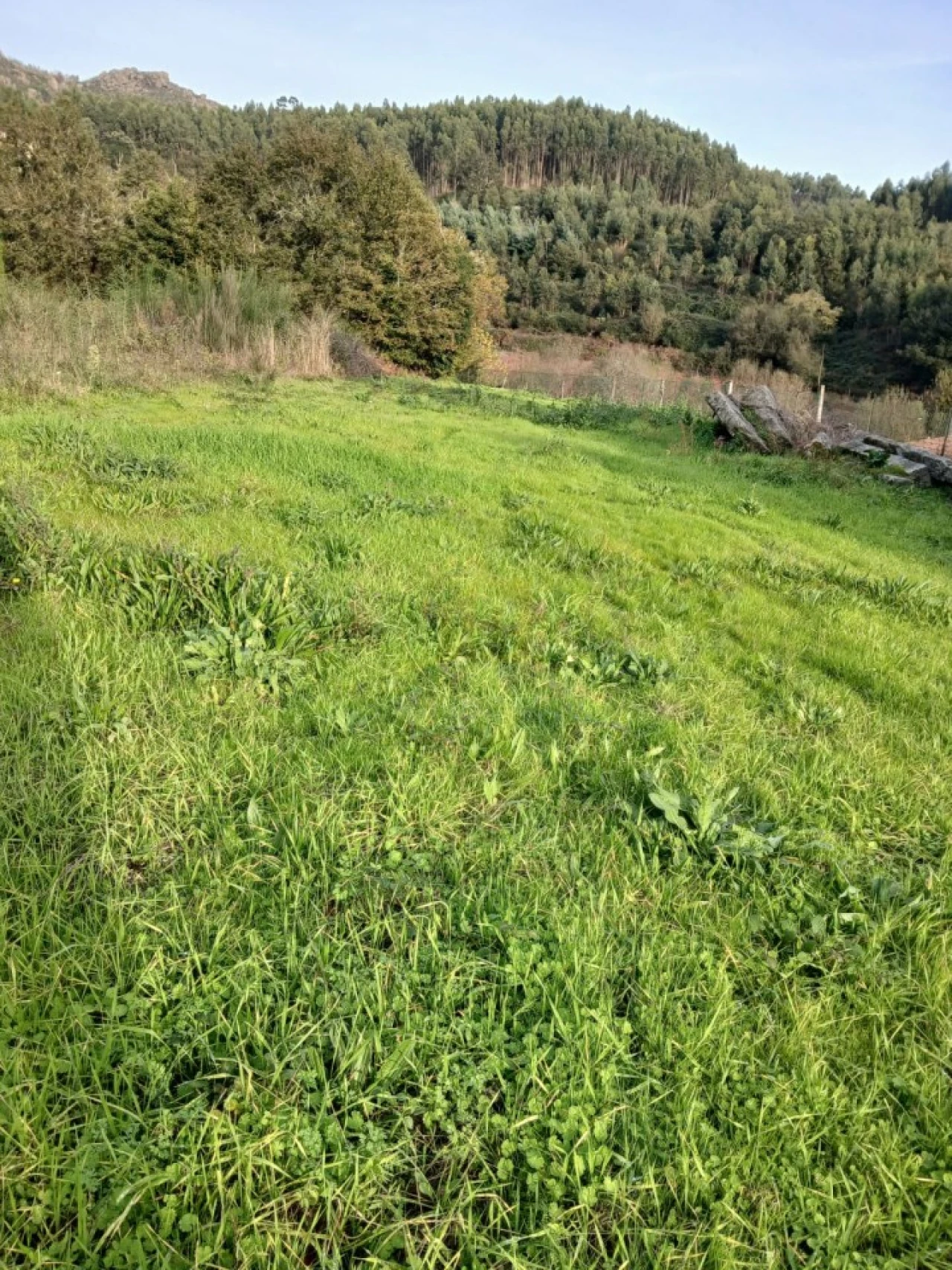 Terreno para Venda em Rendufinho Foto 4