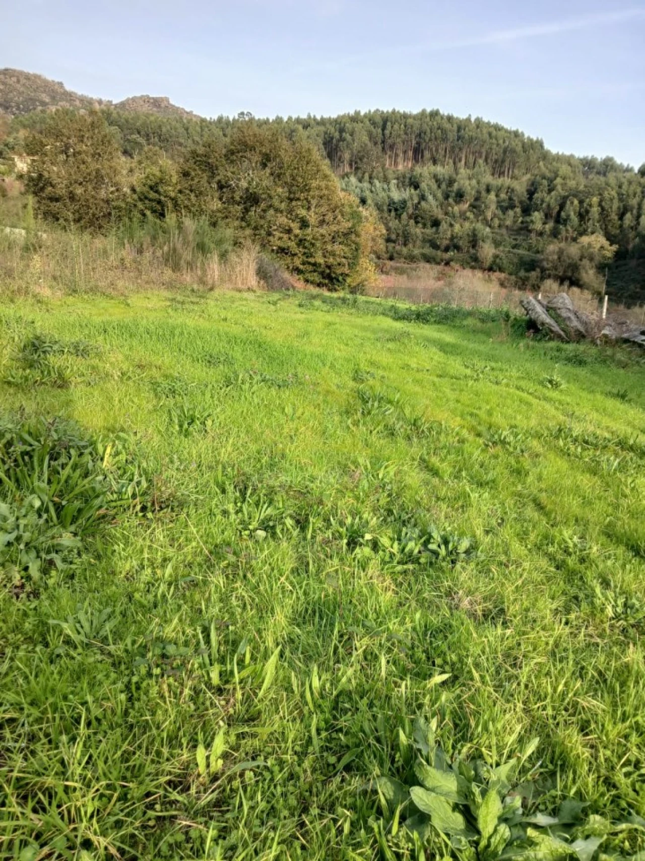 Terreno para Venda em Rendufinho Foto 5