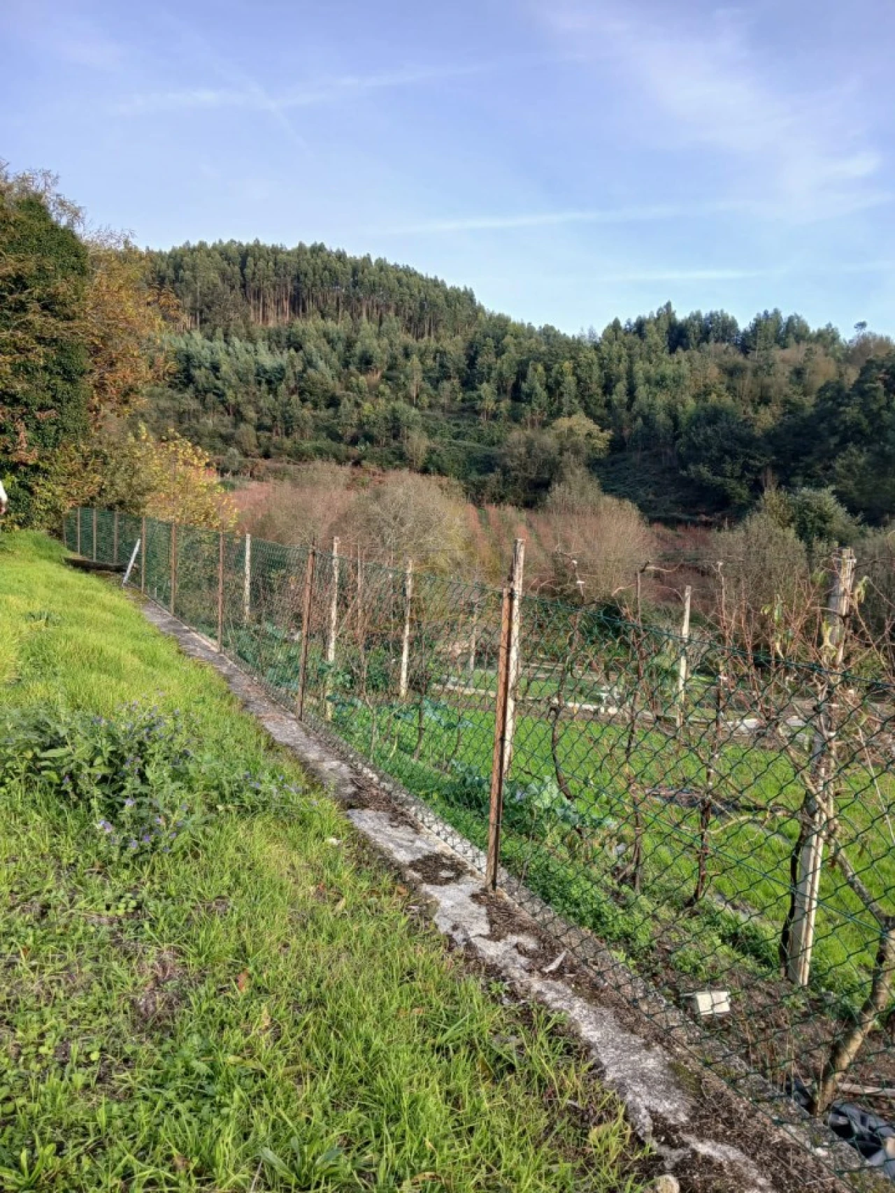 Terreno para Venda em Rendufinho Foto 10