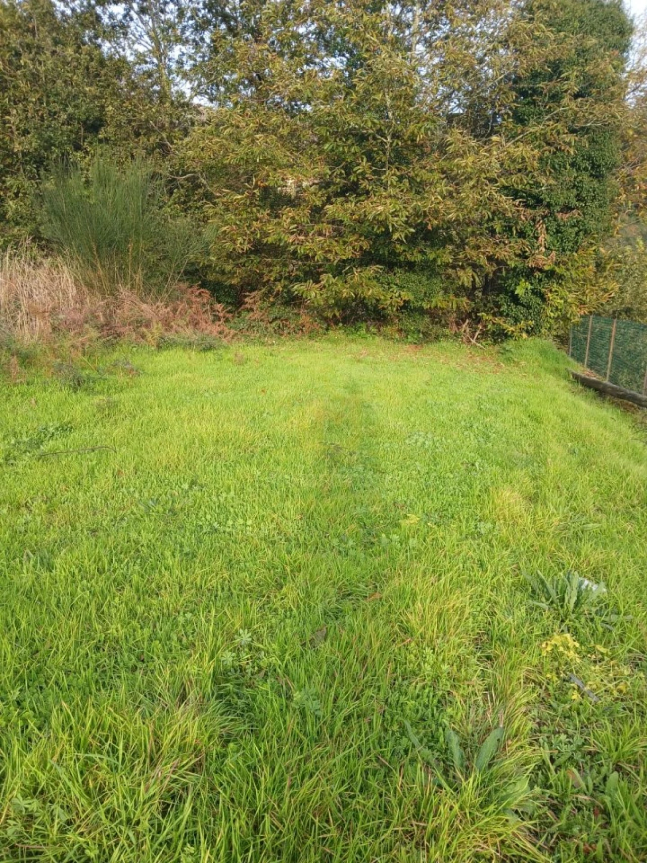Terreno para Venda em Rendufinho Foto 15