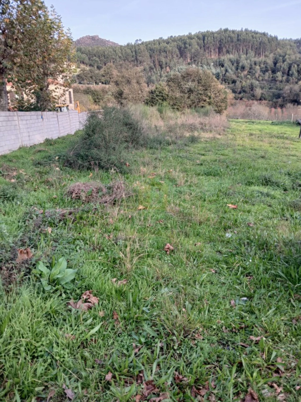 Terreno para Venda em Rendufinho Foto 18
