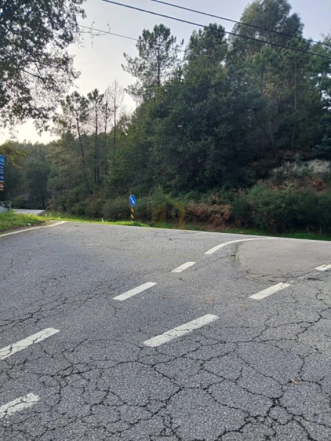 Terreno para Venda em Rendufinho