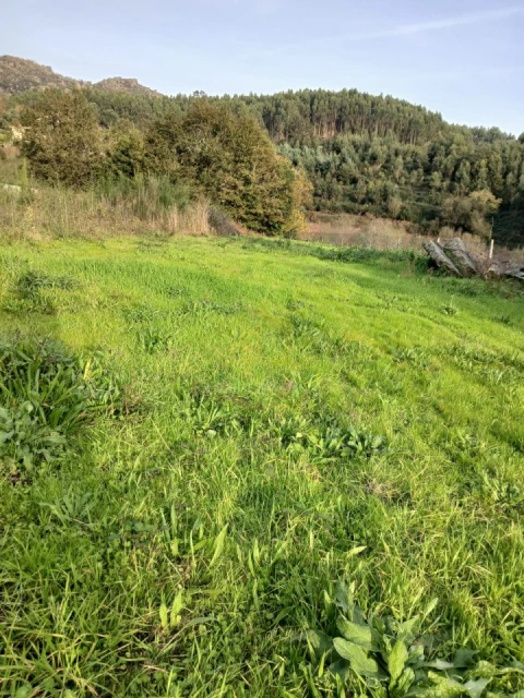 Terreno para Venda em Rendufinho