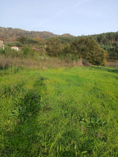 Terreno para Venda em Rendufinho