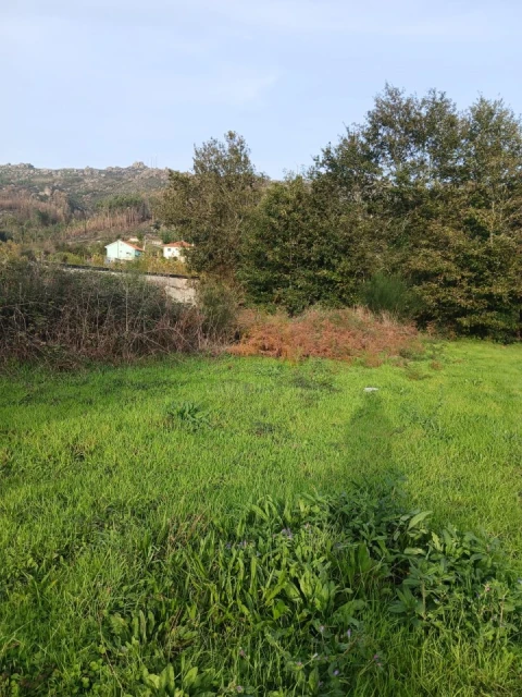Terreno para Venda em Rendufinho