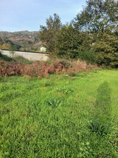 Terreno para Venda em Rendufinho