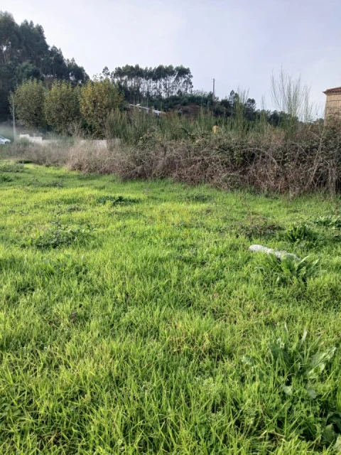 Terreno para Venda em Rendufinho