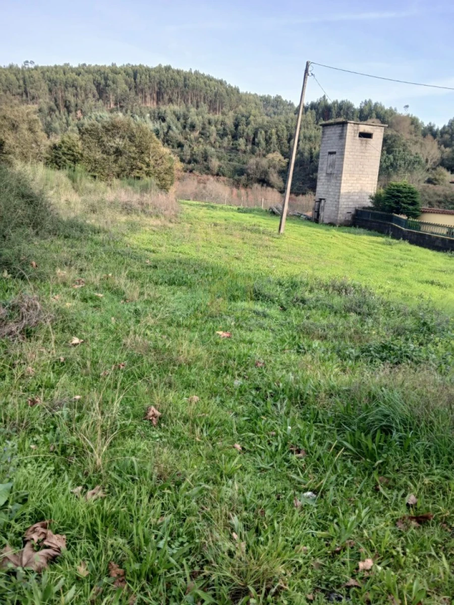 Terreno para Venda em Rendufinho Foto 3