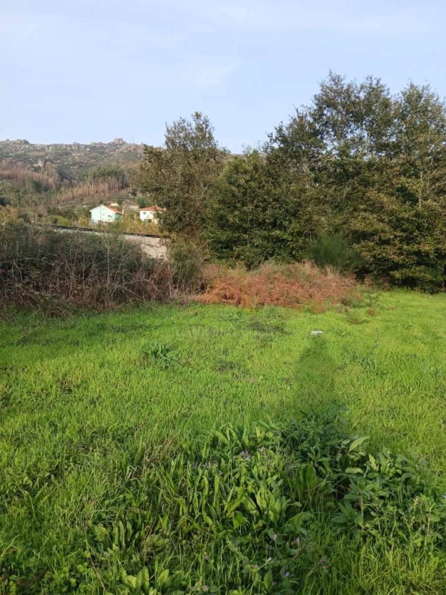 Terreno para Venda em Rendufinho Foto 9