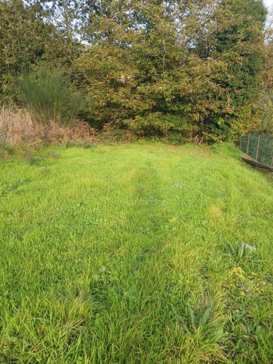 Terreno para Venda em Rendufinho Foto 15
