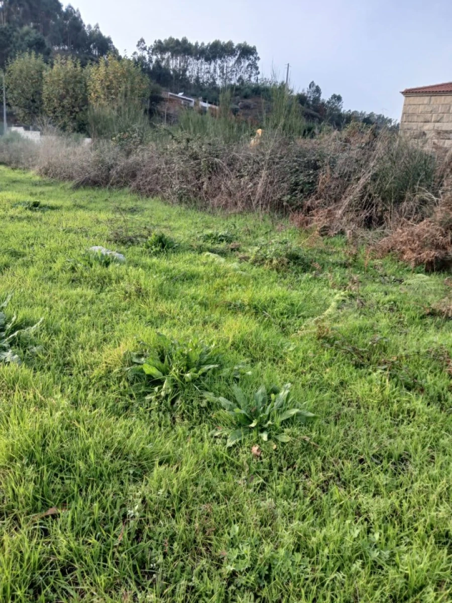 Terreno para Venda em Rendufinho Foto 20