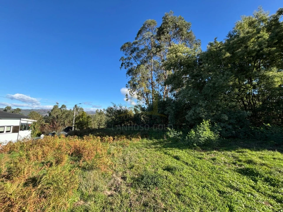 Terreno para Venda em Sobradelo da Goma Foto 7