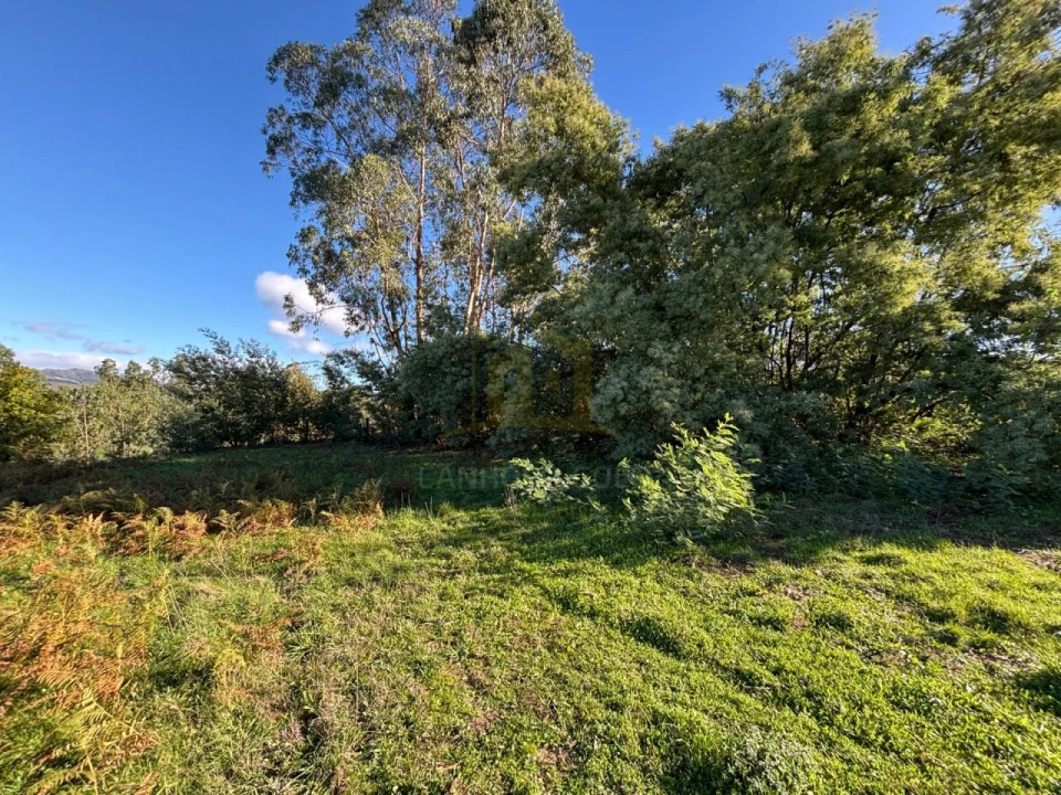 Terreno para Venda em Sobradelo da Goma Foto 16