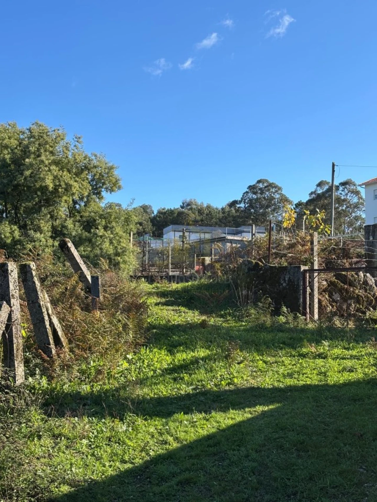 Terreno para Venda em Sobradelo da Goma Foto 24