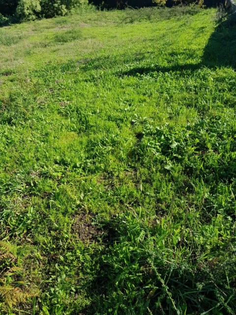 Terreno para Venda em Sobradelo da Goma
