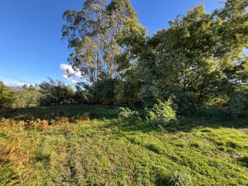 Terreno para Venda em Sobradelo da Goma