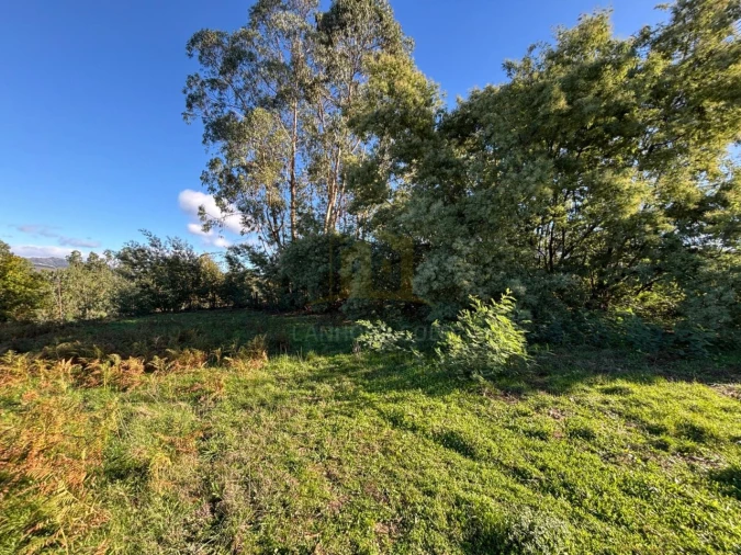 Terreno para Venda em Sobradelo da Goma Foto 12