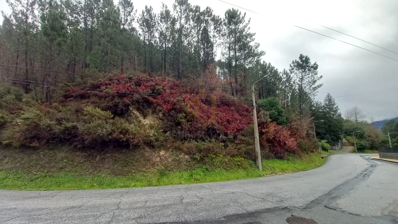 Terreno para Venda em Vilar da Veiga Foto 1