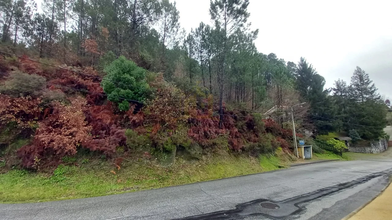 Terreno para Venda em Vilar da Veiga Foto 2