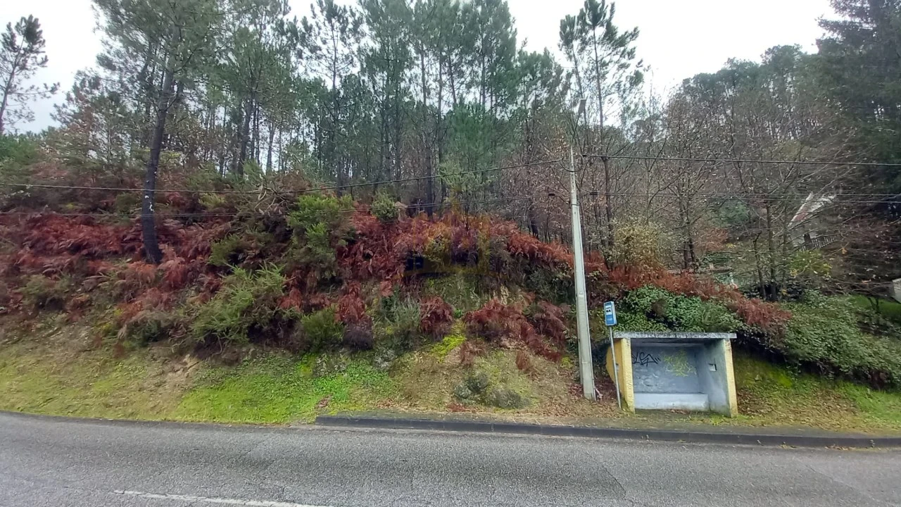 Terreno para Venda em Vilar da Veiga Foto 4