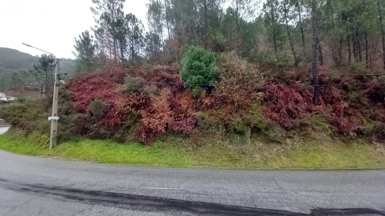 Terreno para Venda em Vilar da Veiga Foto 5