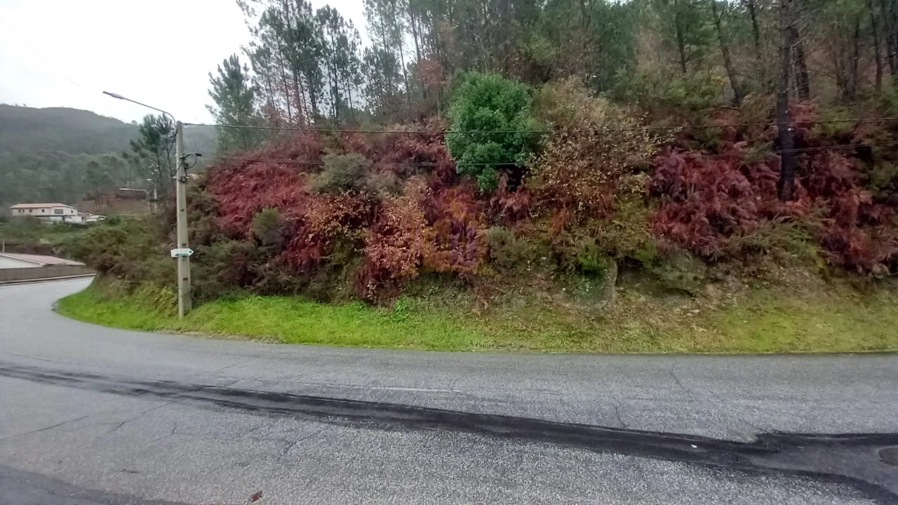 Terreno para Venda em Vilar da Veiga Foto 6