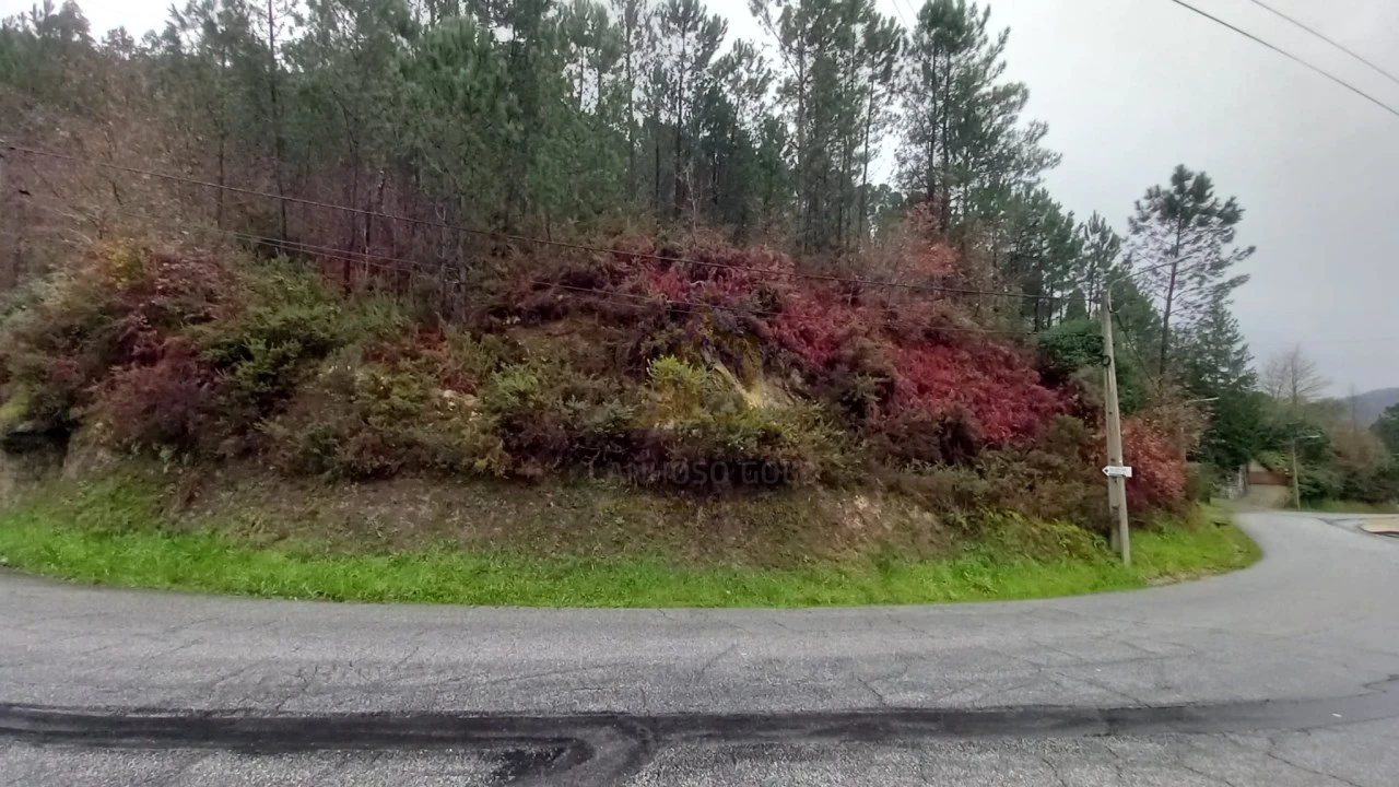 Terreno para Venda em Vilar da Veiga Foto 7