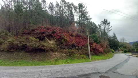 Terreno para Venda em Vilar da Veiga