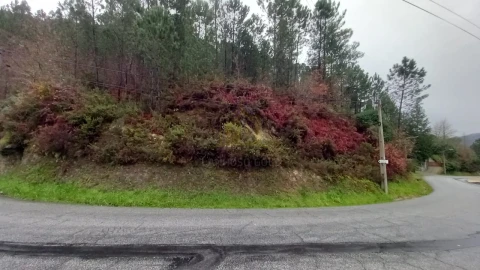 Terreno para Venda em Vilar da Veiga