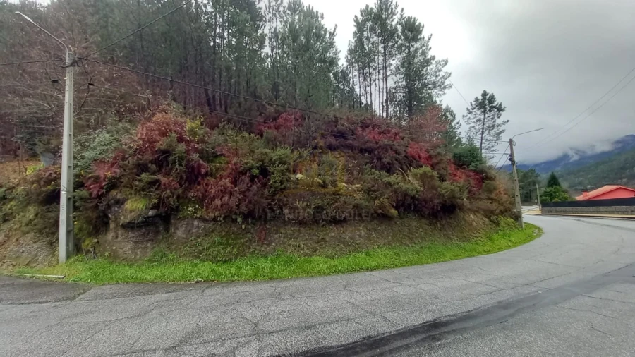 Terreno para Venda em Vilar da Veiga Foto 3