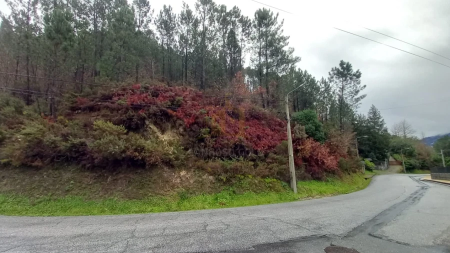 Terreno para Venda em Vilar da Veiga