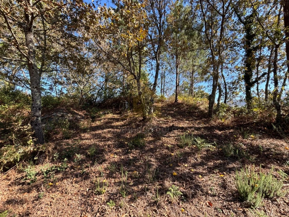 Terreno Agricola ou Rústico para Venda em Verim, Friande e Ajude Foto 7