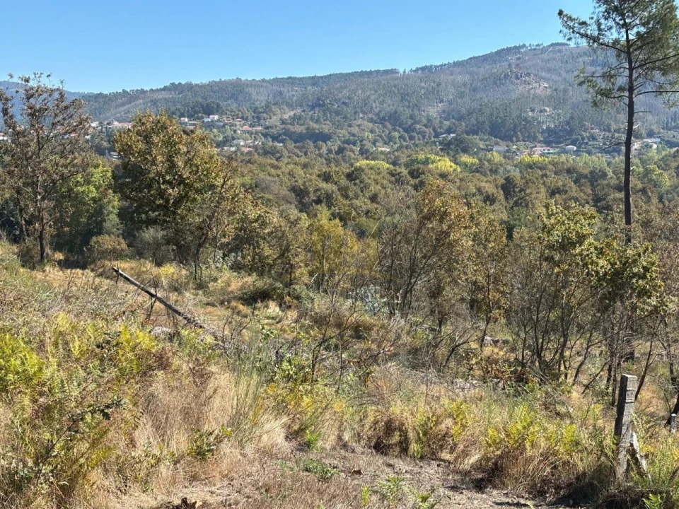 Terreno Agricola ou Rústico para Venda em Verim, Friande e Ajude Foto 8
