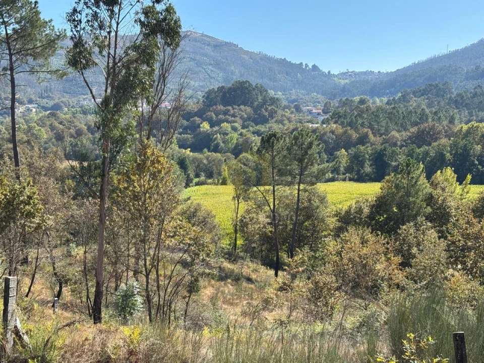 Terreno Agricola ou Rústico para Venda em Verim, Friande e Ajude Foto 13