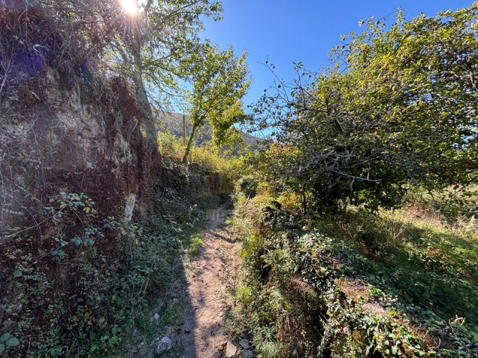 Terreno Agricola ou Rústico para Venda em Verim, Friande e Ajude Foto 19