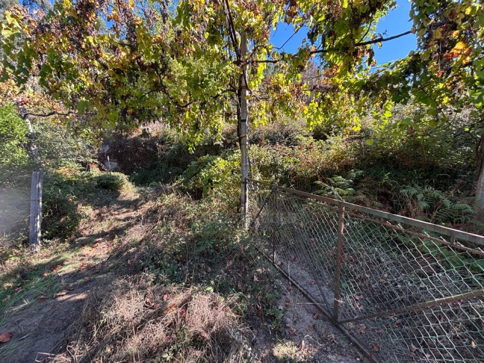 Terreno Agricola ou Rústico para Venda em Verim, Friande e Ajude Foto 22