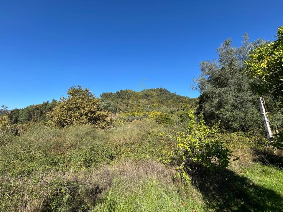 Terreno Agricola ou Rústico para Venda em Verim, Friande e Ajude Foto 26
