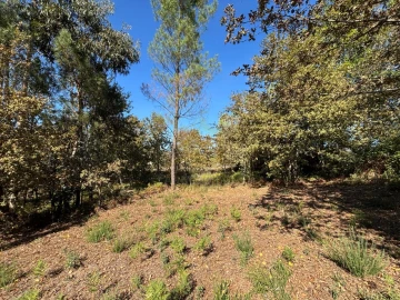 Terreno Agricola ou Rústico para Venda em Verim, Friande e Ajude