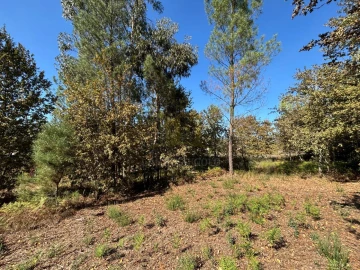 Terreno Agricola ou Rústico para Venda em Verim, Friande e Ajude