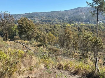 Terreno Agricola ou Rústico para Venda em Verim, Friande e Ajude