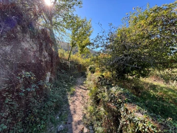 Terreno Agricola ou Rústico para Venda em Verim, Friande e Ajude