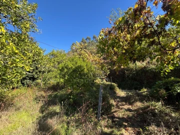 Terreno Agricola ou Rústico para Venda em Verim, Friande e Ajude