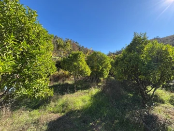 Terreno Agricola ou Rústico para Venda em Verim, Friande e Ajude
