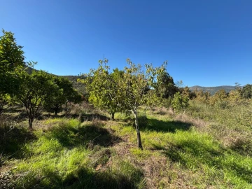 Terreno Agricola ou Rústico para Venda em Verim, Friande e Ajude