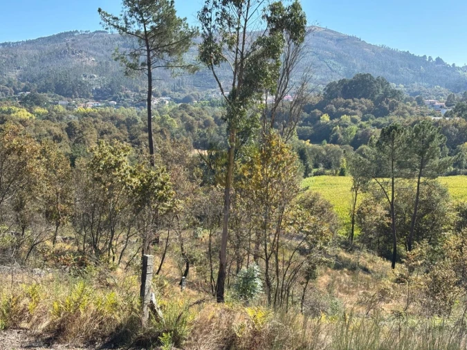 Terreno Agricola ou Rústico para Venda em Verim, Friande e Ajude Foto 12