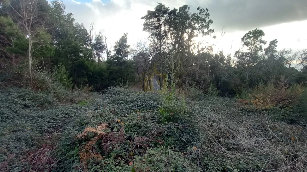 Terreno para Venda em Nogueiró e Tenões Foto 10