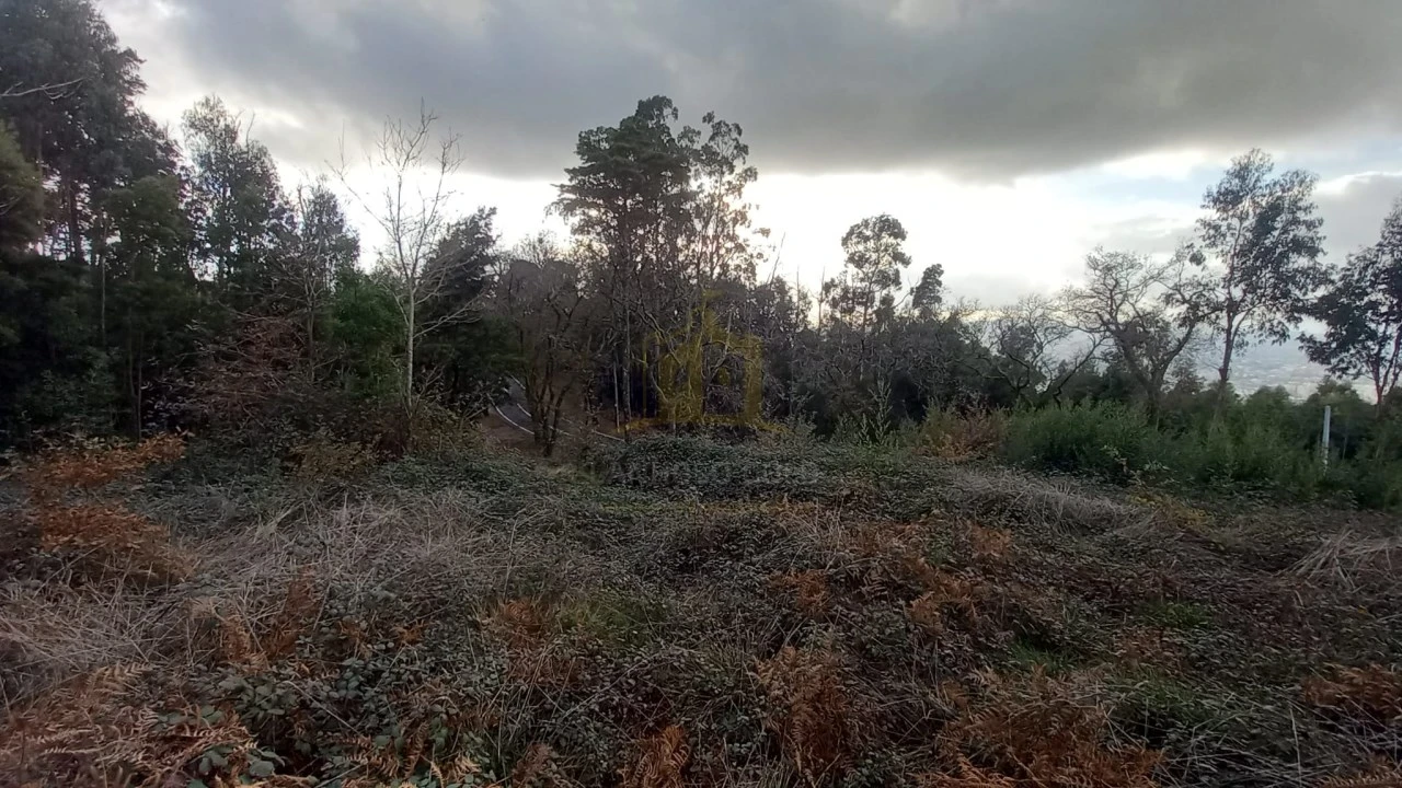 Terreno para Venda em Nogueiró e Tenões Foto 11