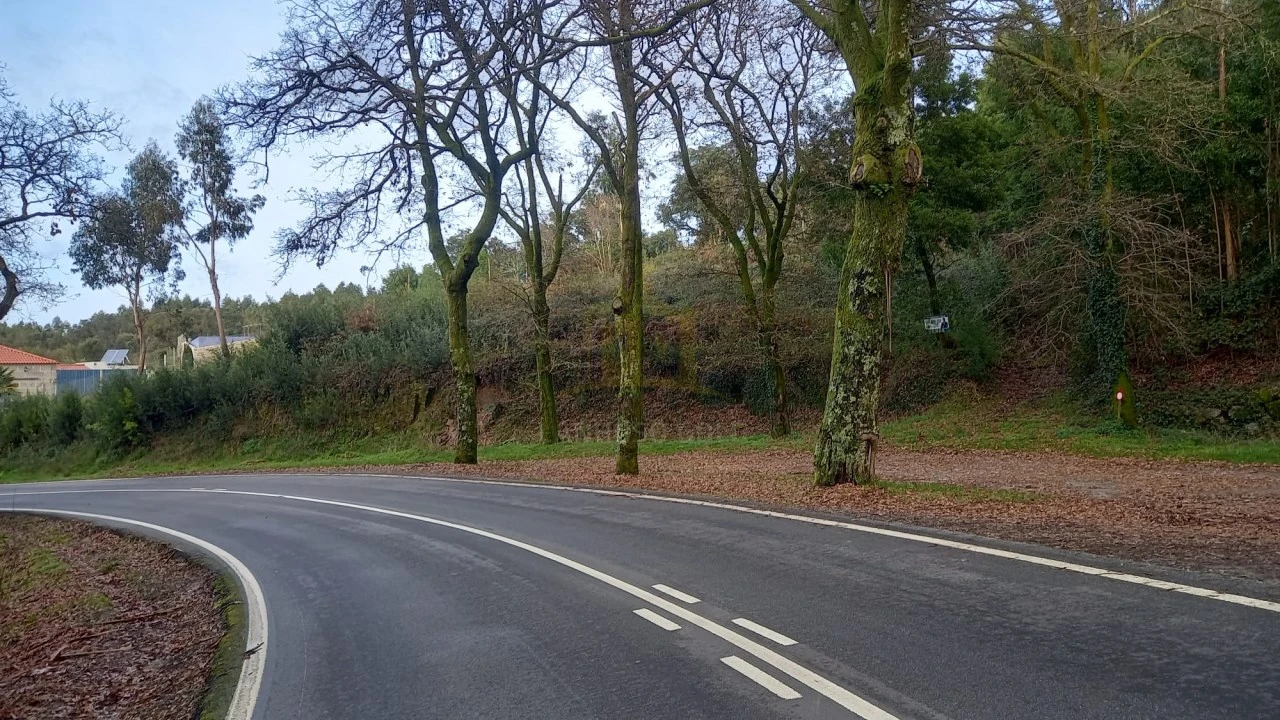 Terreno para Venda em Nogueiró e Tenões Foto 14