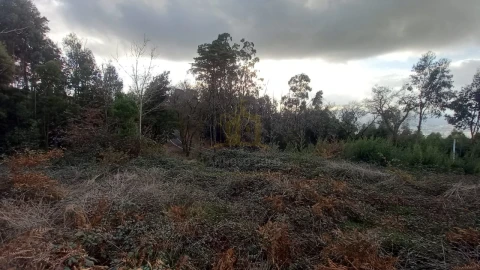 Terreno para Venda em Nogueiró e Tenões